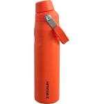 STANLEY Термо бутилка The Aeroligh IceFlow - 0.6L