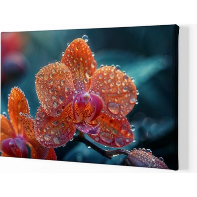 Obraz na plátně - Orchidej, deštivé ráno FeelHappy.cz Velikost obrazu (šířka x výška): 120 x 80 cm