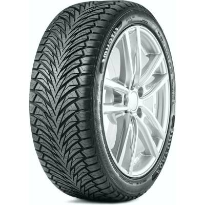 Fortune FSR401 225/45 R17 94Y
