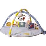 Taf Toys Активна гимнастика Taf Toys - С музика и LED осветление (TT13495) - ozone