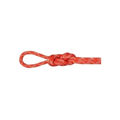 Mammut 9.5 Gym Classic 40 m