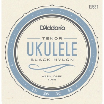 D'addario EJ53T