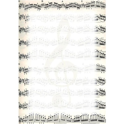 DIPLOM Noty 170g papier A4 bal. 25ks 213317
