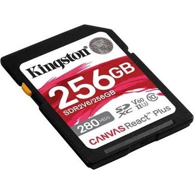 Kingston 256GB SDR2V6/256GB