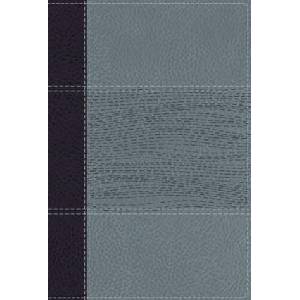 NIV Study Bible, Fully Revised Edition, Personal Size, Leathersoft, Navy/Blue, Red Letter, Comfort Print | Mark L. Strauss, Jeannine K. Brown (ISBN: 9780310449140)