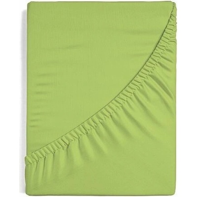 Matějovský Prestieradlo zelenkavé Froté 160x200