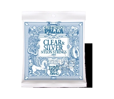 Ernie Ball 2403