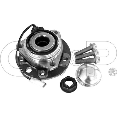 GSP AUTOMOTIVE GROUP WENZHOU CO. LTD 9333070K