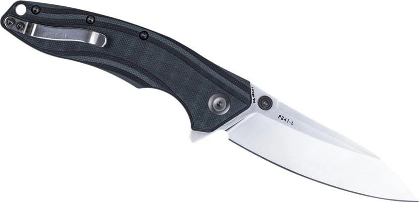 Ruike P841-L