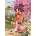 Educa - Puzzle Haruyo Marita: Teien - 1 000 piese