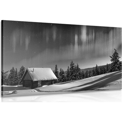 Obraz pohádková zimní krajina v černobílém provedení - 120x80