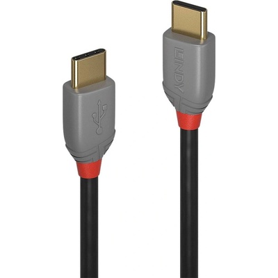 Lindy 36872 USB, USB 2.0 USB-C ™ zástrčka, USB-C ™ zástrčka, 2m, černý