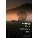 Vlhošť