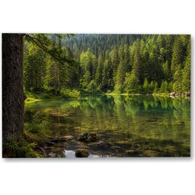 Plakát – Lesní tůň s odrazy stromů Bez rámu Ano Bez rámu 135 × 90 cm
