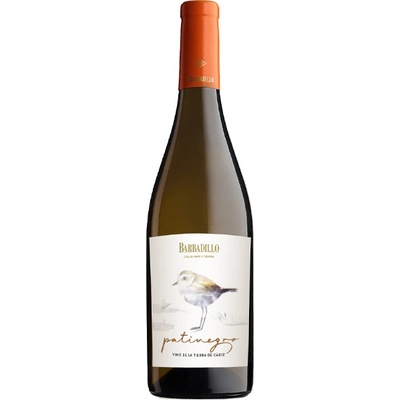 Barbadillo Patinegro suché bílé 2022 11,5% 0,75 l (holá láhev)