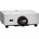 Sharp P601Q