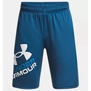 Under Armour Prototype 2.0 logo shorts black