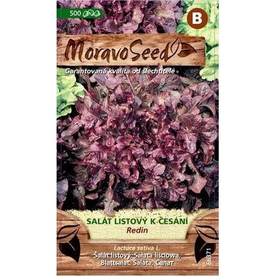 MoravoSeed Salát listový k česání Redin