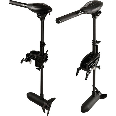 Haswing 55lb