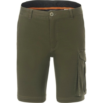Regatta Bendrick Shorts