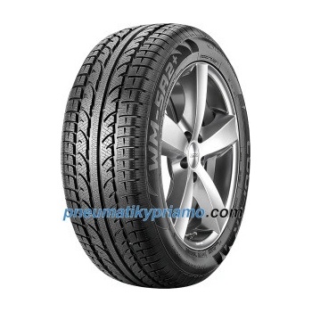 Cooper Weather-Master SA2 + 245/45 R18 100V