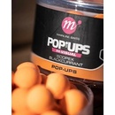 Mainline Pop Up High Visual Mini 150ml 12mm Scopex Blackcurrant