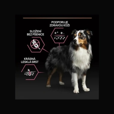 Pro Plan Medium & Large Adult Dog 7+ Sensitive Skin Popis účinků Pro Plan Medium & Large Adult Dog 7+ Sensitive Skin