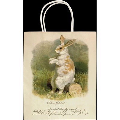 Dárková papírová taška Spring Animals Bunny