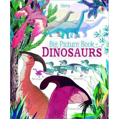 Big Picture Book of Dinosaurs Cowan Laura