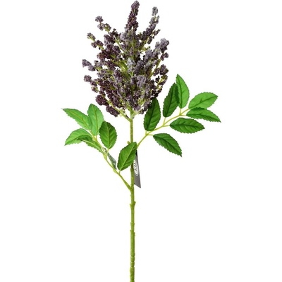 AKCIA! KS ASTILBE FIALOVÉ 65CM