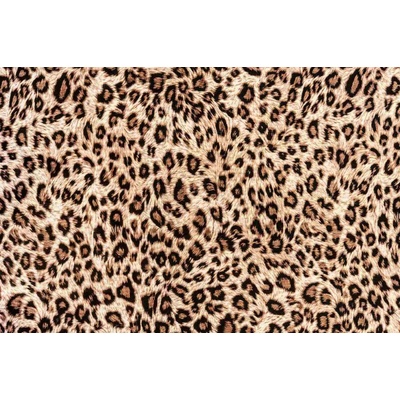 Dimex MS-5-2579 Vliesová fototapeta Leopardí kůže rozměry 375 x 250 cm