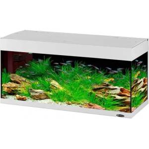 Ferplast Dubai 120 LED White - Стилен аквариум, оборудван с филтър и осветление. 240 литра, дебелина на стъклото 8мм, бял , 121/65 см