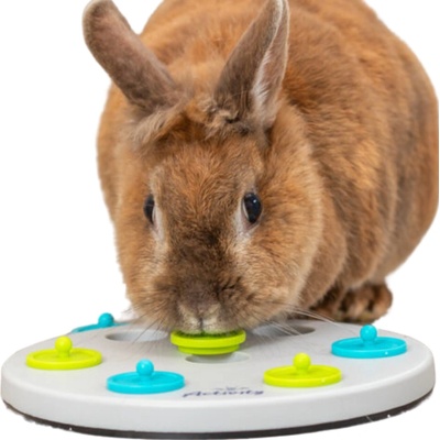 Trixie Odkrývací deska na pamlsky 20 cm – Sleviste.cz