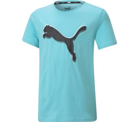 Puma Alpha Graphic Tee