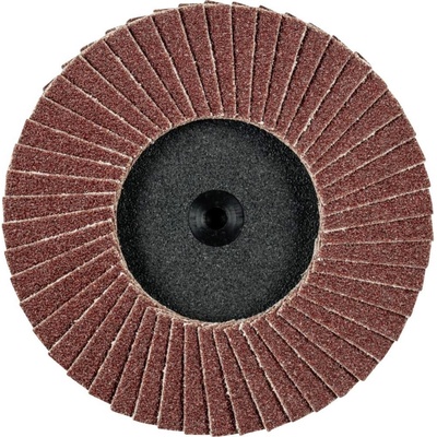 Pferd Vejárovitý brúsny kotúč 75 mm 47202531