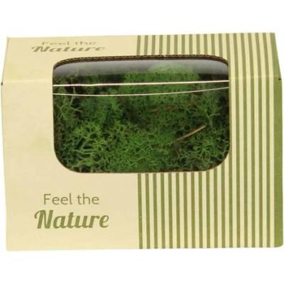 Moss reindeer ca. 50gr nature 14x8x10cm