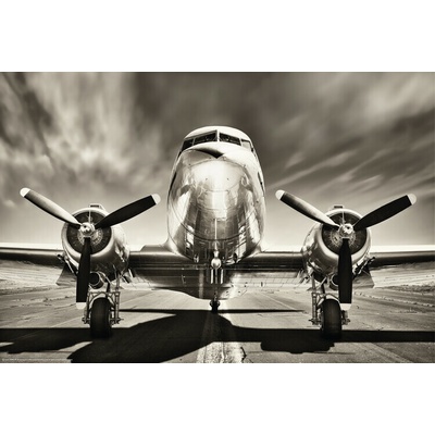 Plagát, Obraz - Aeroplane - Monochromatic, 91.5 × 61 cm