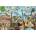 Ravensburger - Puzzle Big City Collage 5000 - 5 000 piese