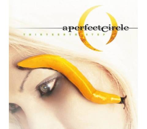 A PERFECT CIRCLE: THIRTEENTH STEP LP