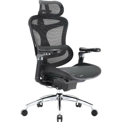 Sihoo Doro C300 Pro Mesh