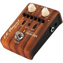 L.R. Baggs Align Equalizer