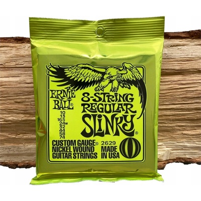 ERNIE BALL Regular Slinky Nickel