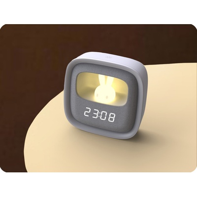 Forever Light RTV100554