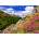 Enjoy - Puzzle Matterhorn Peak - 1 000 piese