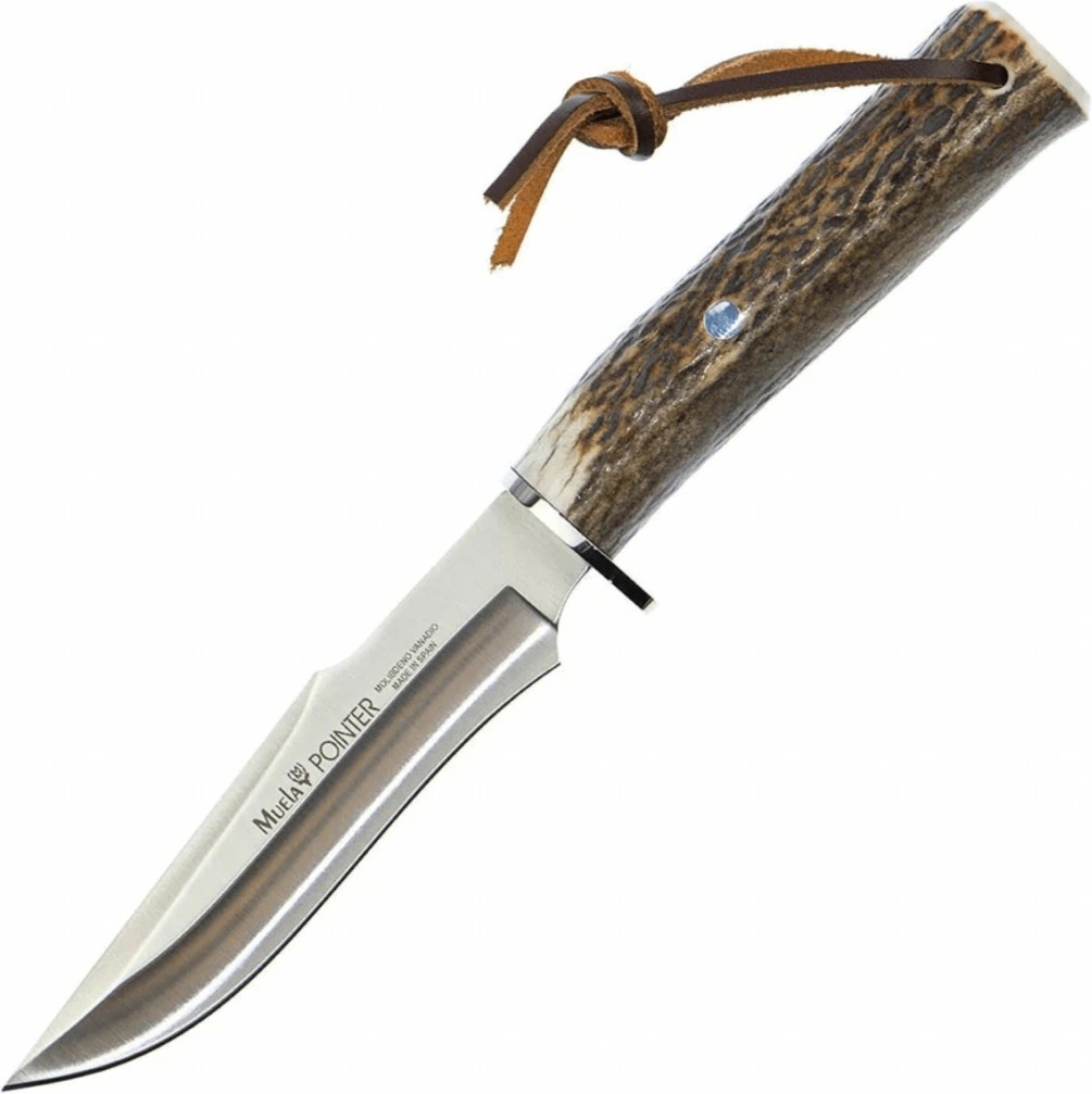 Muela Pointer 13 A