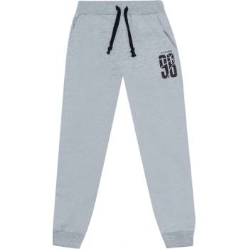 Winkiki WJB 11979 sivý melír