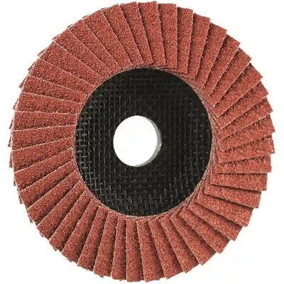 Eisenblaetter Brúsny lamelový kotúč 125 x 22,2 mm 40 E91374