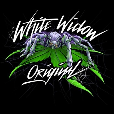 Sumo Seeds White Widow Original semienka neobsahujú THC 3 ks