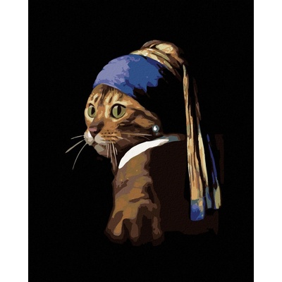 zuty Malování podle čísel Kočka jako dívka s perlou 40 x 50 cm vypnuté plátno na rám 8596530066255