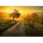 Ravensburger - Puzzle Landscape in morning sun - 1 000 piese